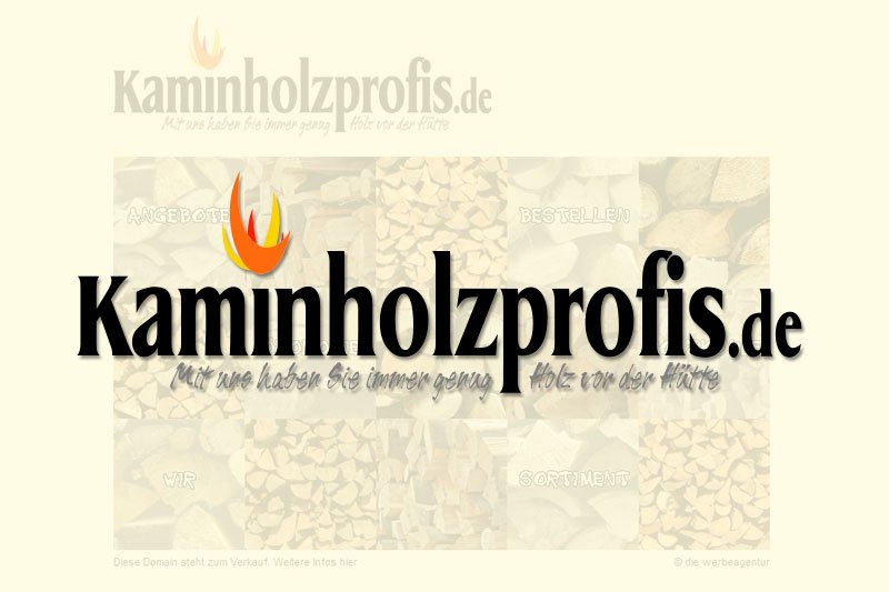 Die Domain Kaminholz-Profis.de steht zum Verkauf